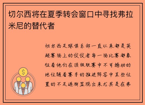 切尔西将在夏季转会窗口中寻找弗拉米尼的替代者